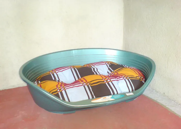 Hotel kapsułowy за кучета киноложки център стиф