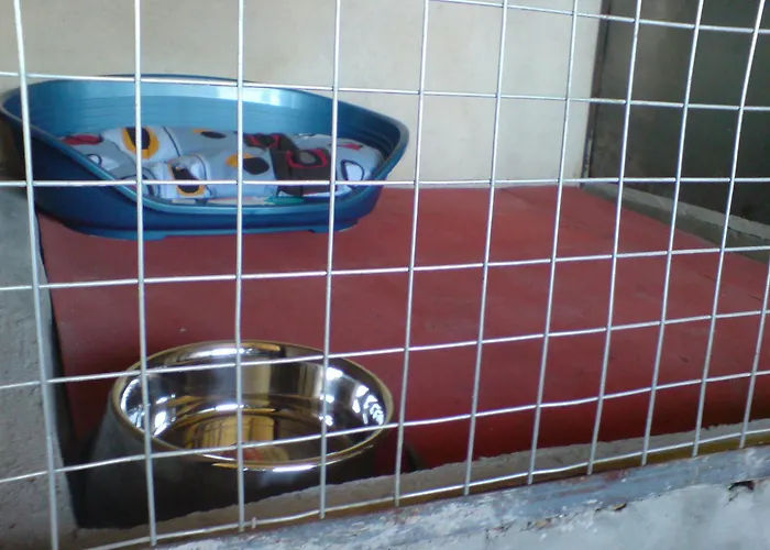 за кучета киноложки център стиф Hotel kapsułowy